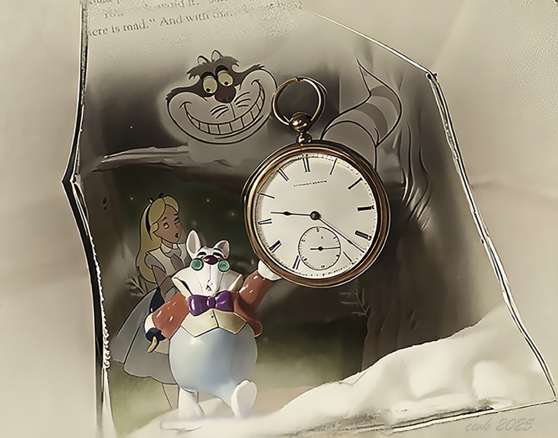 Through the Looking Glass by artist Charlie Kreitler